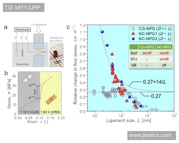 亚马尔地区的战略意义与未来发展潜力探讨 亚马尔地区的战略意义与未来发展潜力探讨