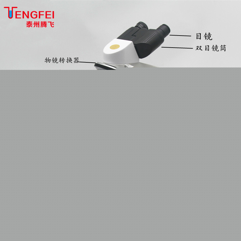 【红桥机缘清单】红桥区教训体例负bd半岛体育担教训学校新增教学仪器筑设项目