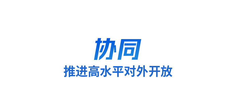 时bd半岛体育政微观看丨三个环节词读懂长三角一体化新远景(图5)